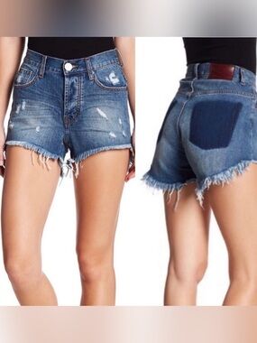 One Teaspoon x Free People Hawks Blue Royale Cut Off Shorts 32